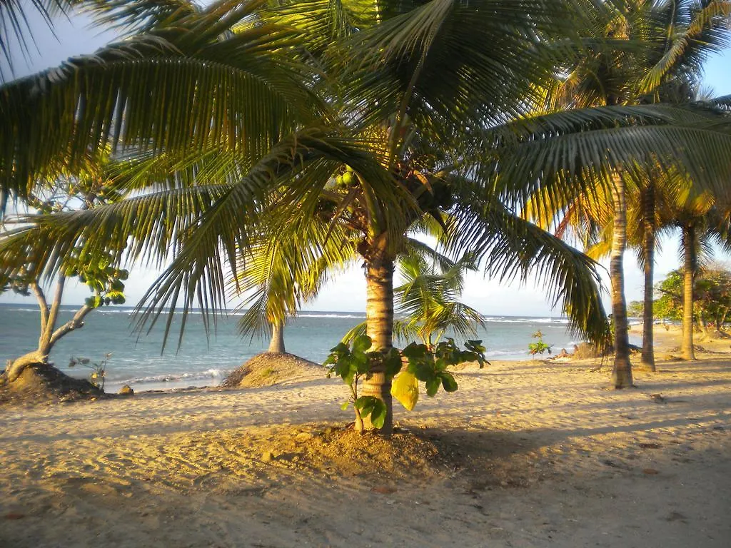 Caribbean Sun Residential Apartment Puerto Plata 0*,  Dominican Republic